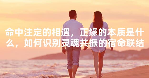 命中注定的相遇，正缘的本质是什么，如何识别灵魂共振的宿命联结