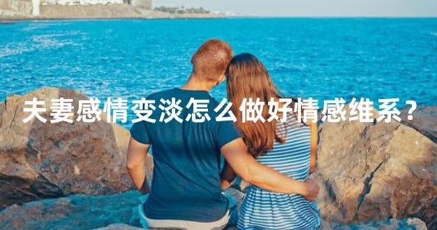 夫妻感情变淡怎么做好情感维系？
